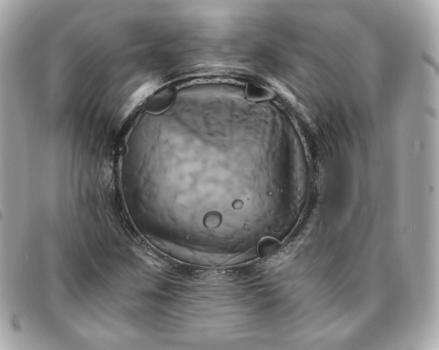 X0000096221259200802011335