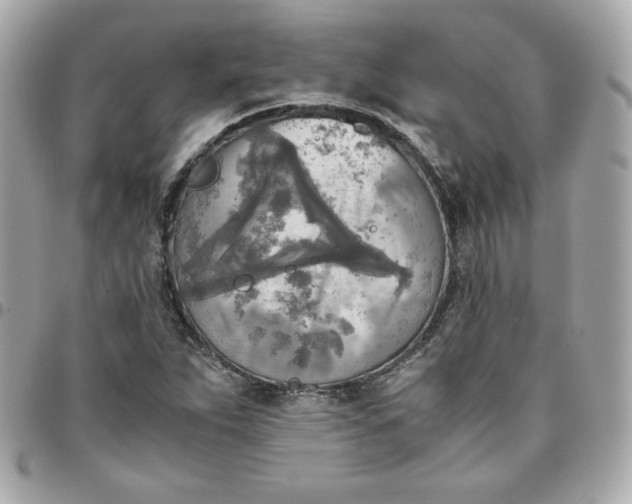 X0000096221263200802011335