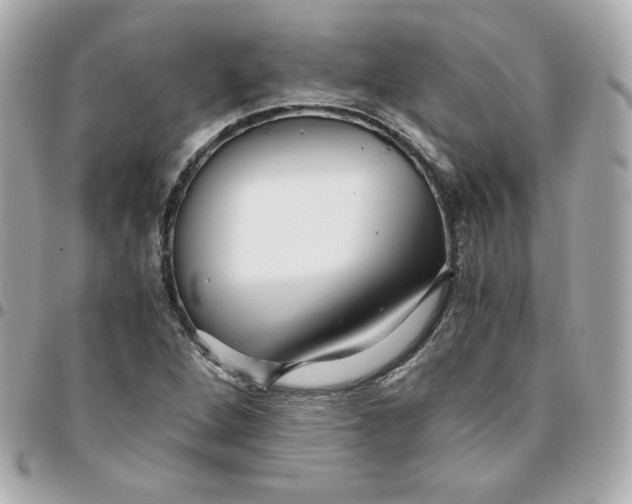 X0000096221264200802011335