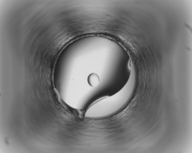 X0000096221265200802011335