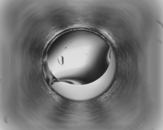 X0000096221268200802011335