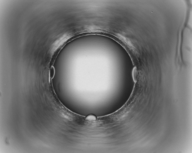 X0000096221269200802011335