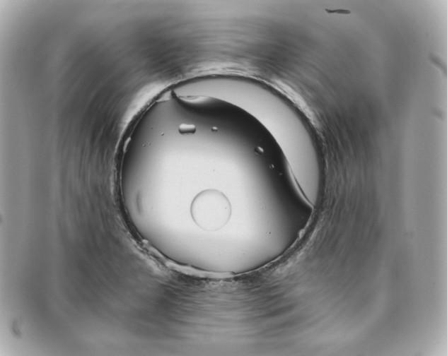 X0000096221277200802011335