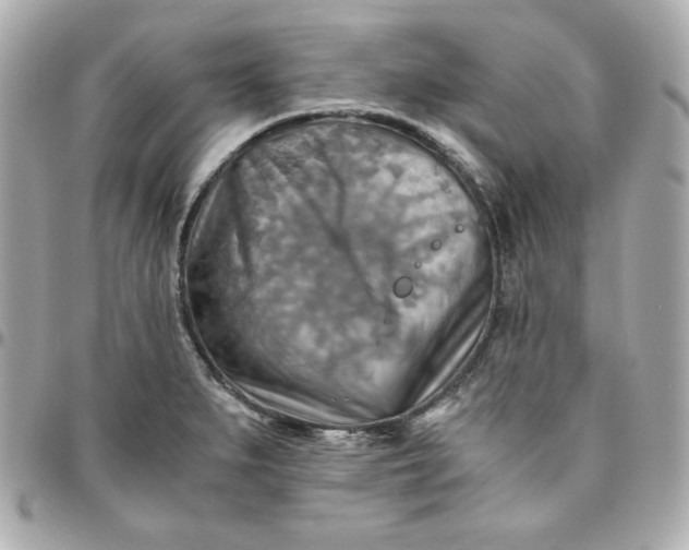 X0000096221279200802011335