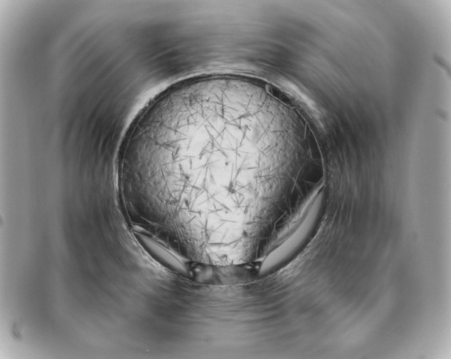 X0000096221280200802011335