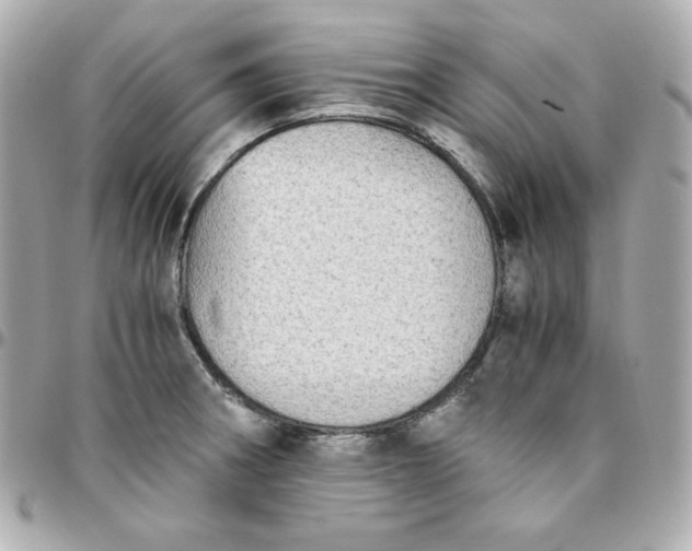 X0000096221282200802011335