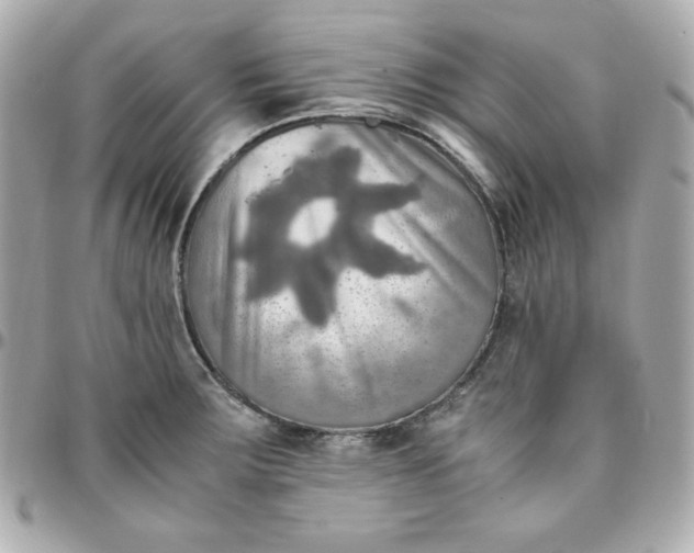 X0000096221283200802011335