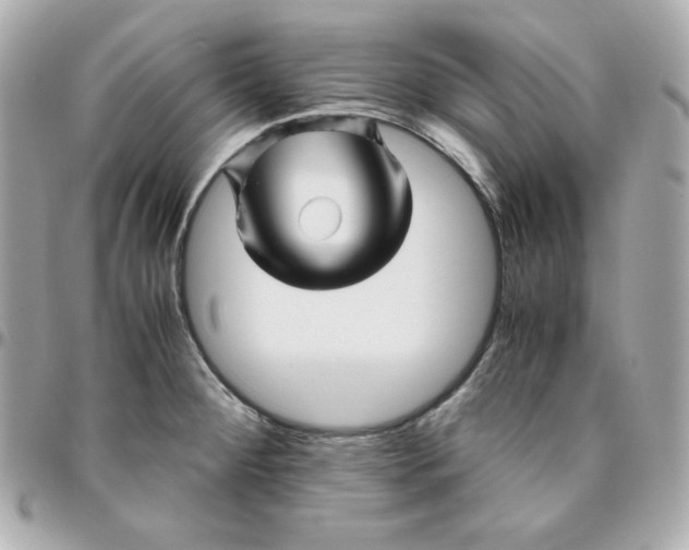 X0000096221284200802011335