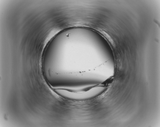 X0000096221285200802011335