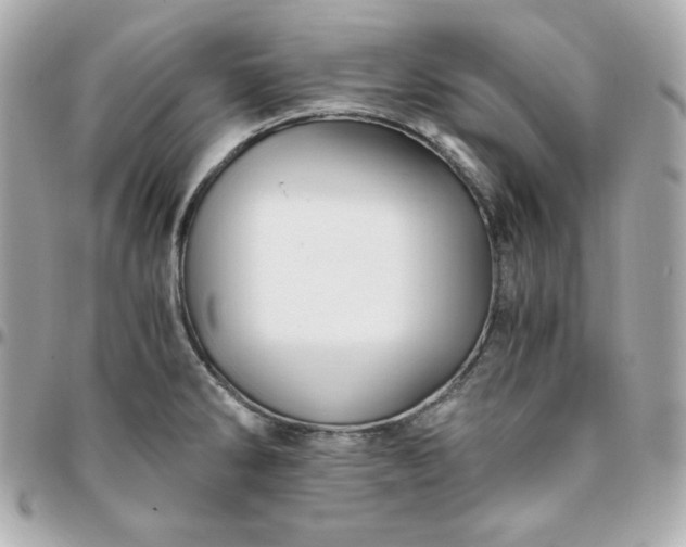 X0000096221286200802011335