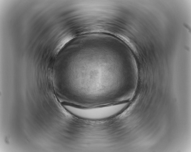 X0000096221289200802011335