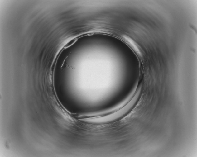 X0000096221292200802011335