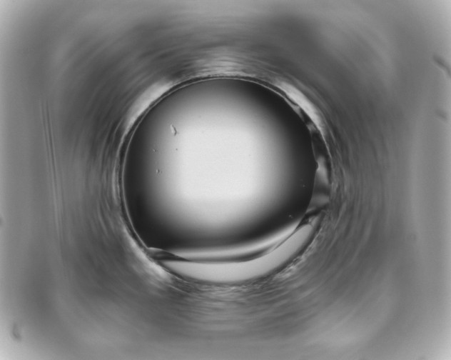 X0000096221293200802011335