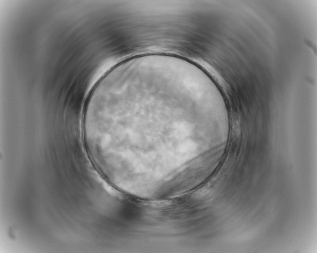 X0000096221294200802011335