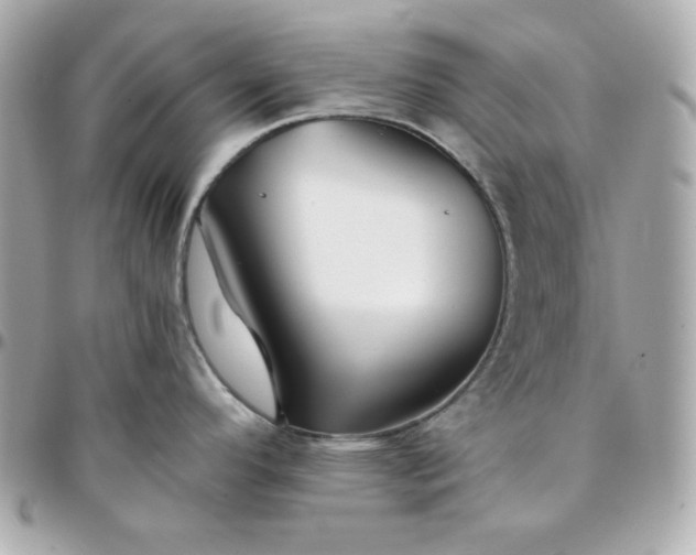 X0000096221296200802011335