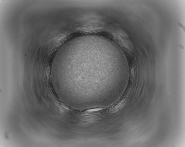 X0000096221300200802011334