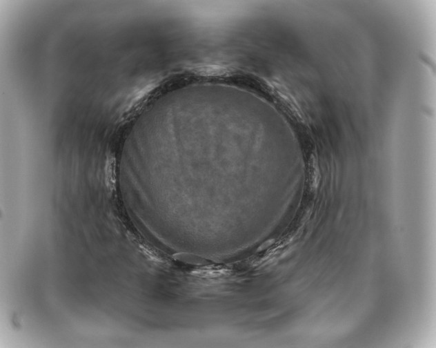 X0000096221301200802011334