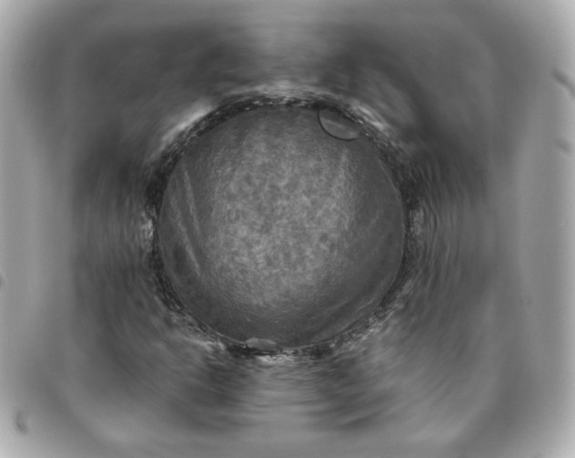 X0000096221302200802011334