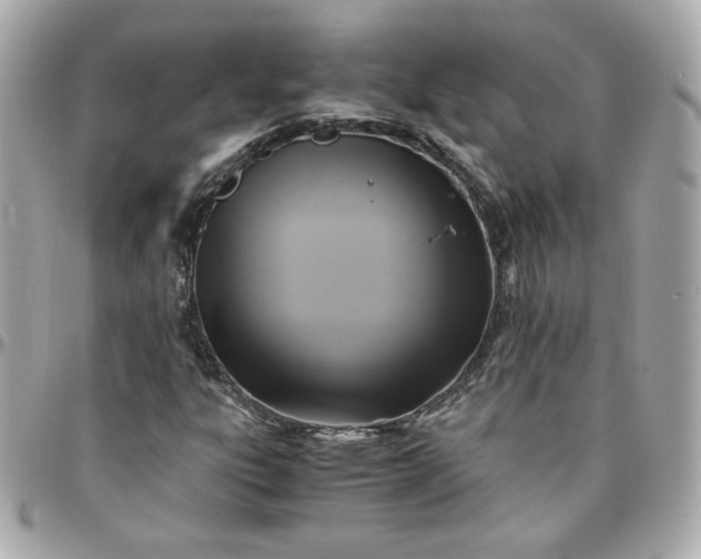 X0000096221303200802011334