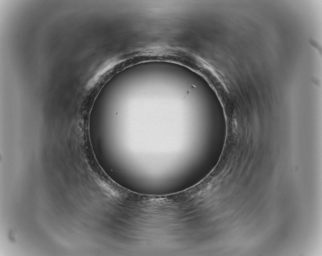 X0000096221304200802011334