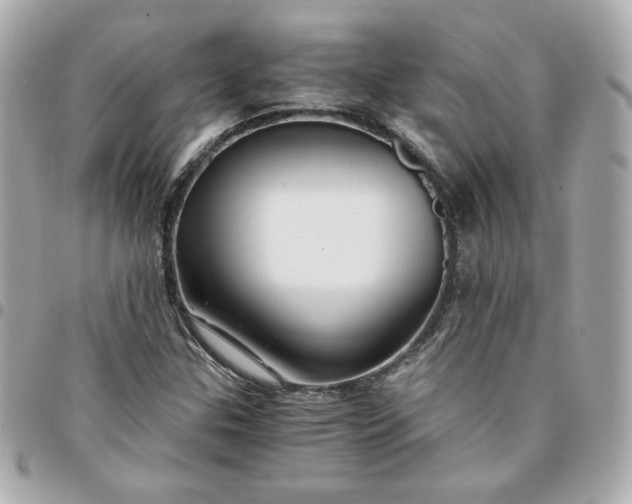 X0000096221307200802011334