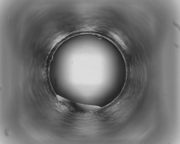 X0000096221308200802011334