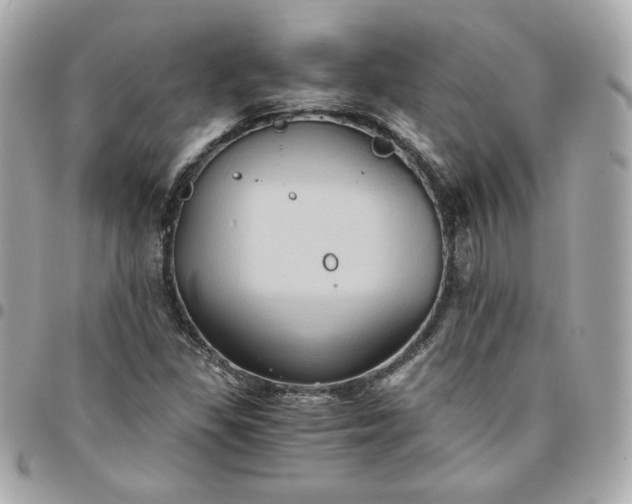 X0000096221309200802011334