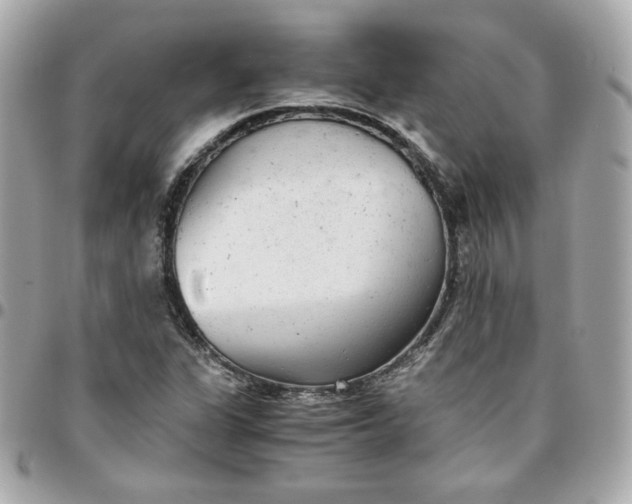 X0000096221311200802011334