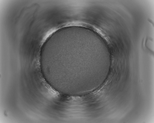 X0000096221312200802011334