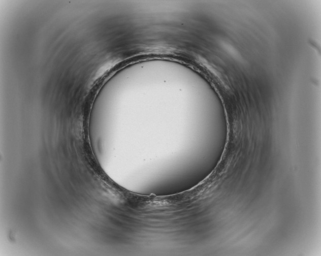 X0000096221315200802011334