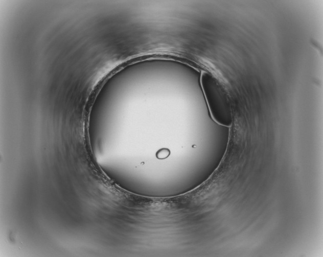 X0000096221316200802011334