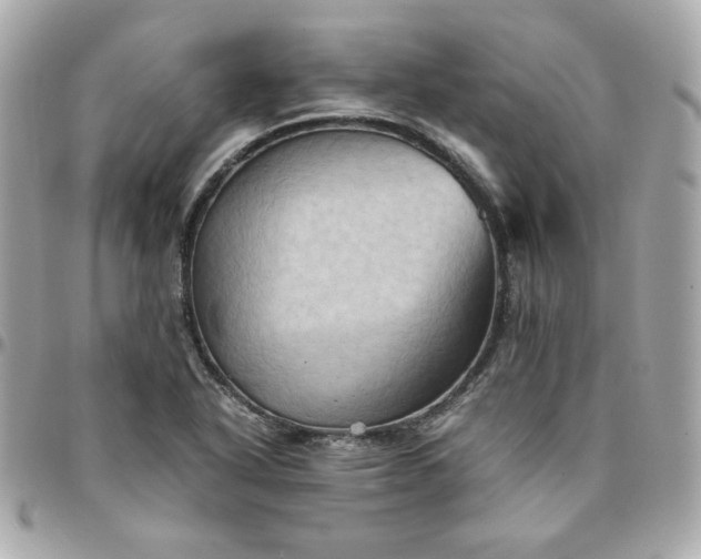 X0000096221318200802011334