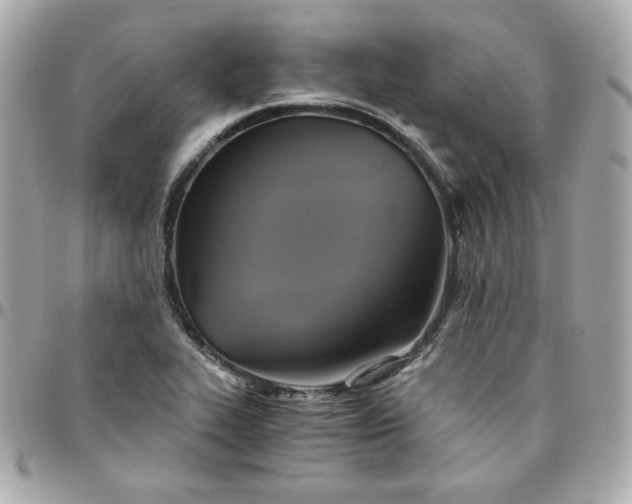 X0000096221319200802011334