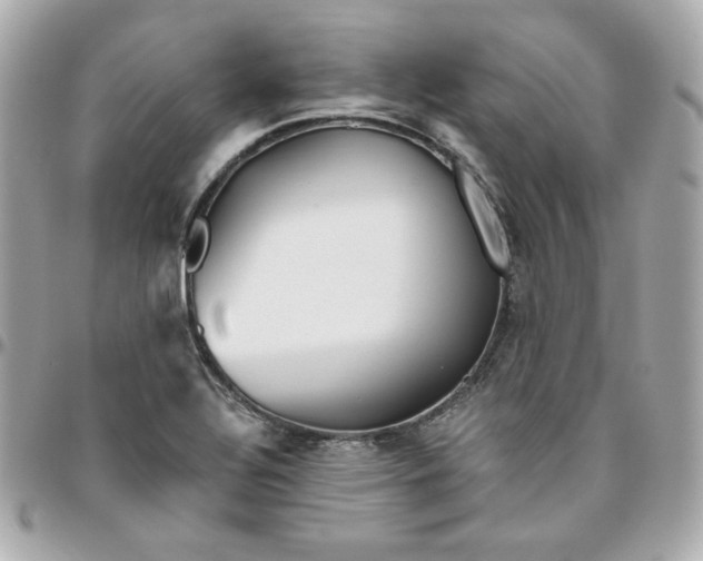 X0000096221320200802011334