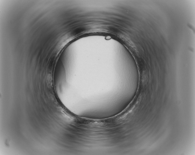 X0000096221321200802011334