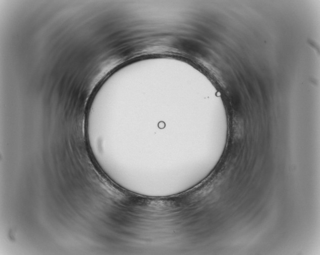 X0000096221322200802011334