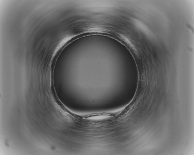 X0000096221323200802011334