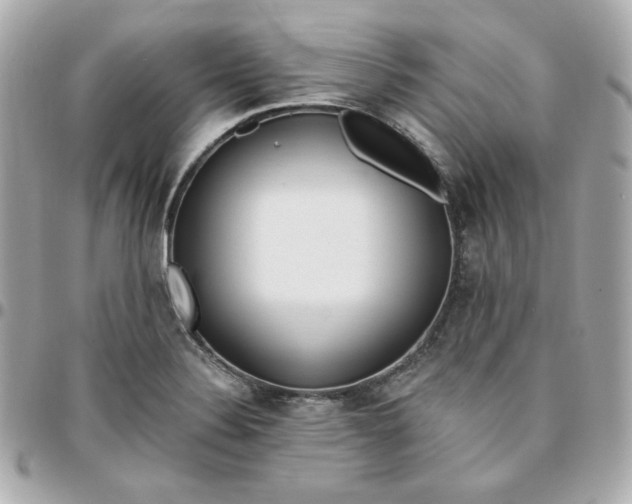 X0000096221324200802011334