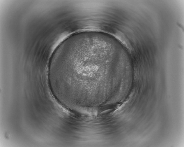 X0000096221325200802011334