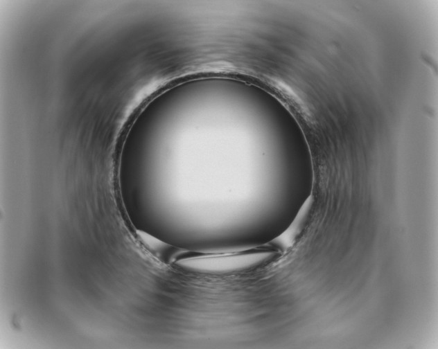 X0000096221326200802011334