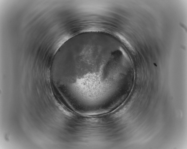 X0000096221329200802011334