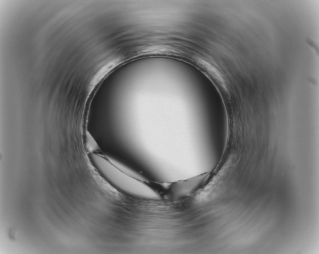 X0000096221330200802011334