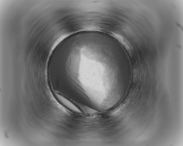 X0000096221331200802011334