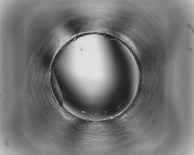 X0000096221332200802011334