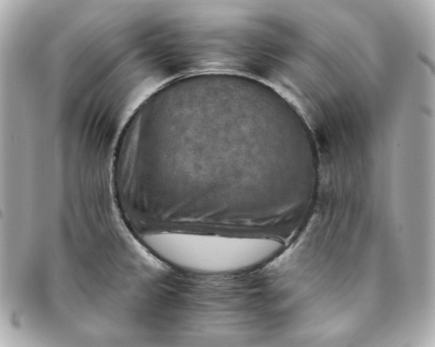 X0000096221333200802011334