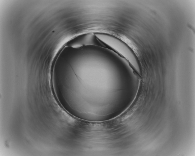 X0000096221334200802011334