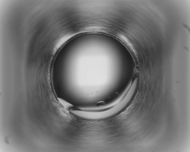 X0000096221336200802011334