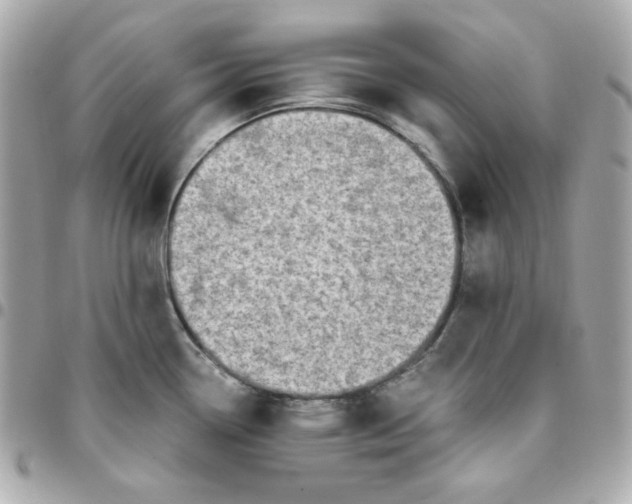 X0000096221338200802011335