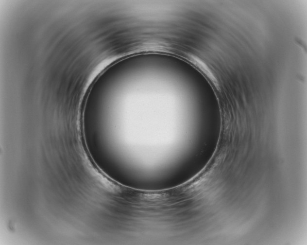 X0000096221339200802011335