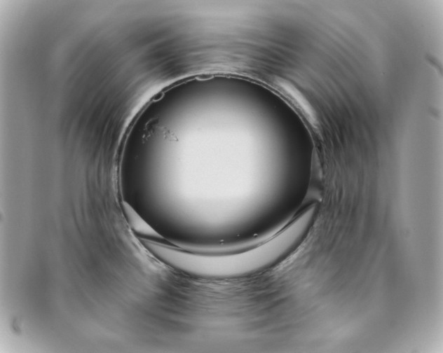 X0000096221340200802011335